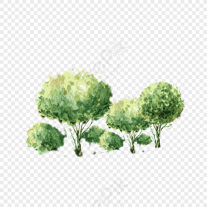 tree plan png images
