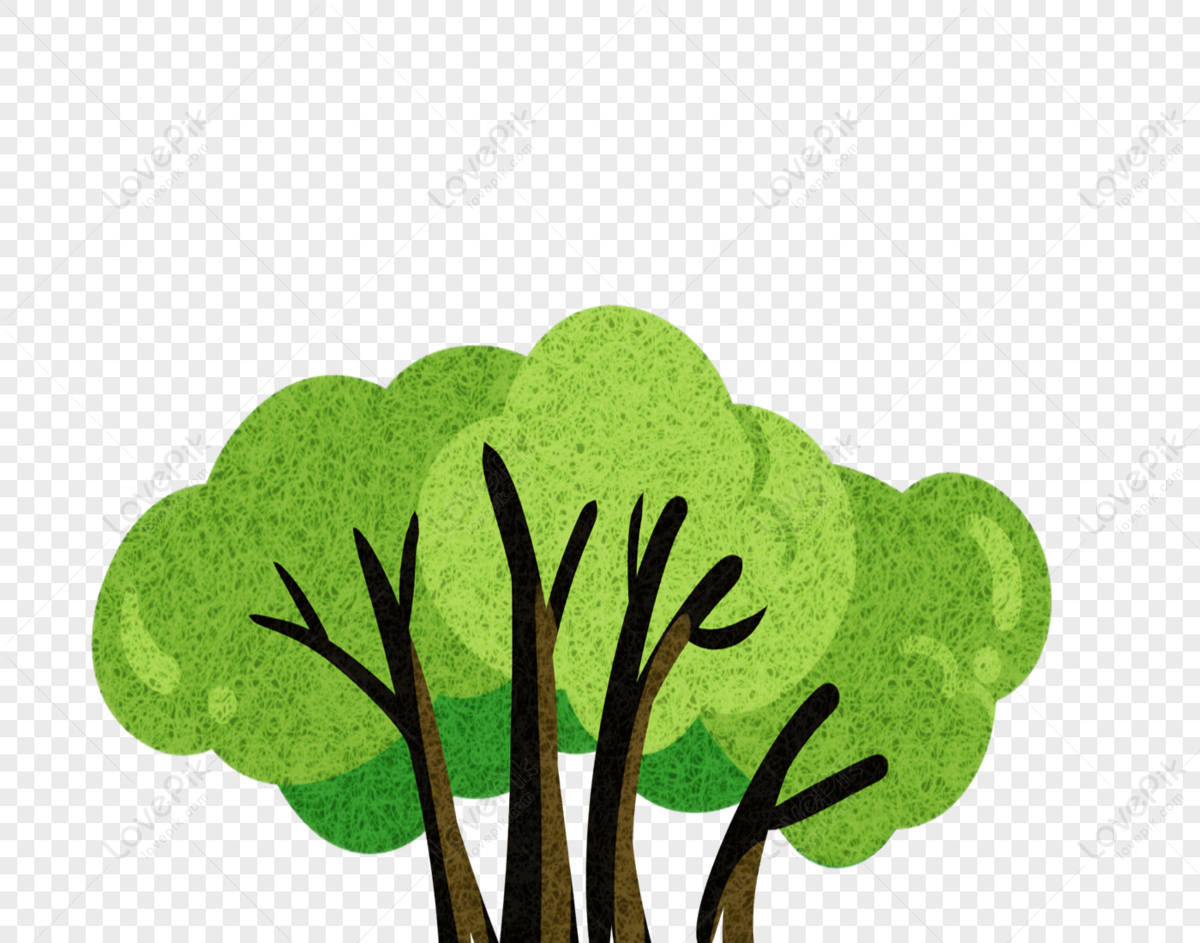 This is tree tree is green