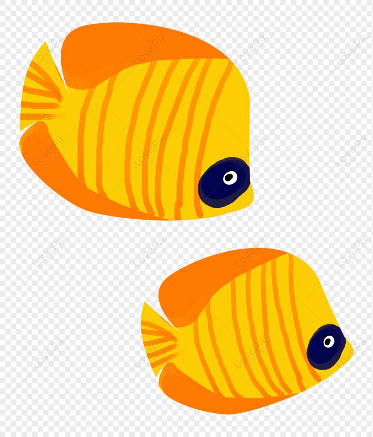 Tropical Fish PNG Image Free Download And Clipart Image For Free Download -  Lovepik | 400216461