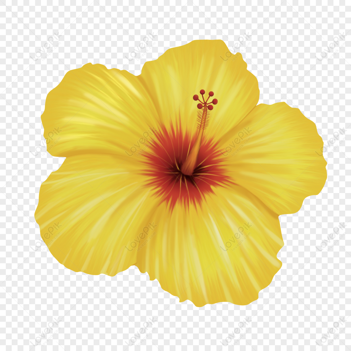 Yellow Flowers PNG Picture And Clipart Image For Free Download - Lovepik |  400275445