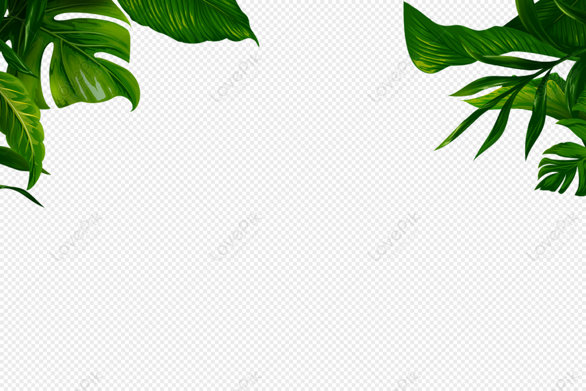 Banana Leaves transparent background PNG cliparts free download | HiClipart