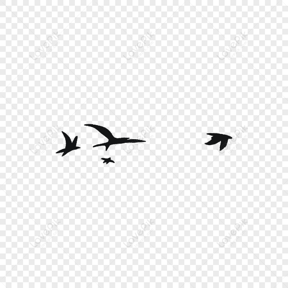 Bird Hand Painted Birds Birds Pictures Birds Png Transparent Image