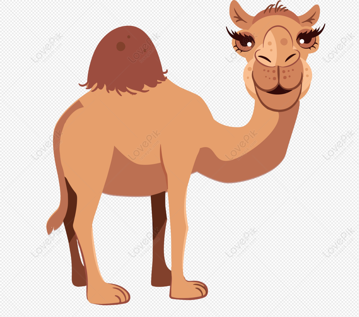camels in desert clipart
