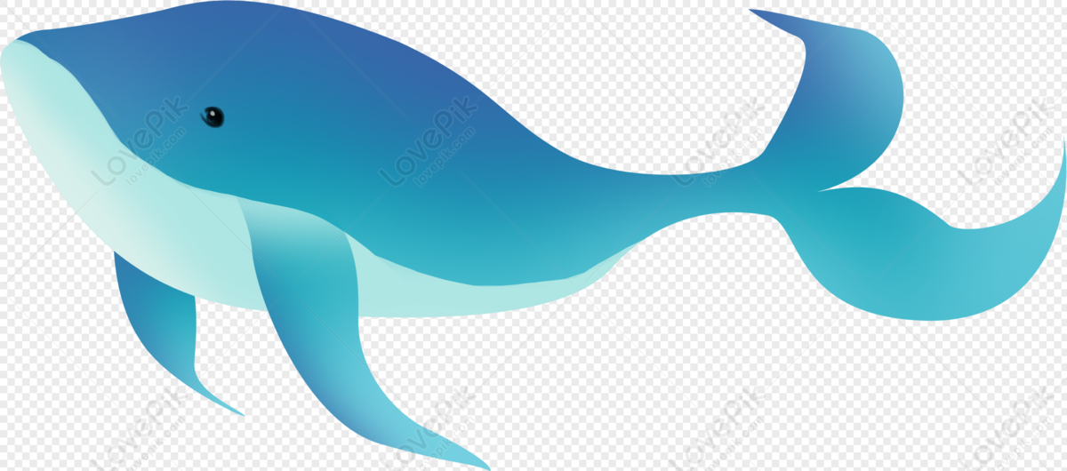 Cartoon Whale Free PNG And Clipart Image For Free Download - Lovepik |  400284559