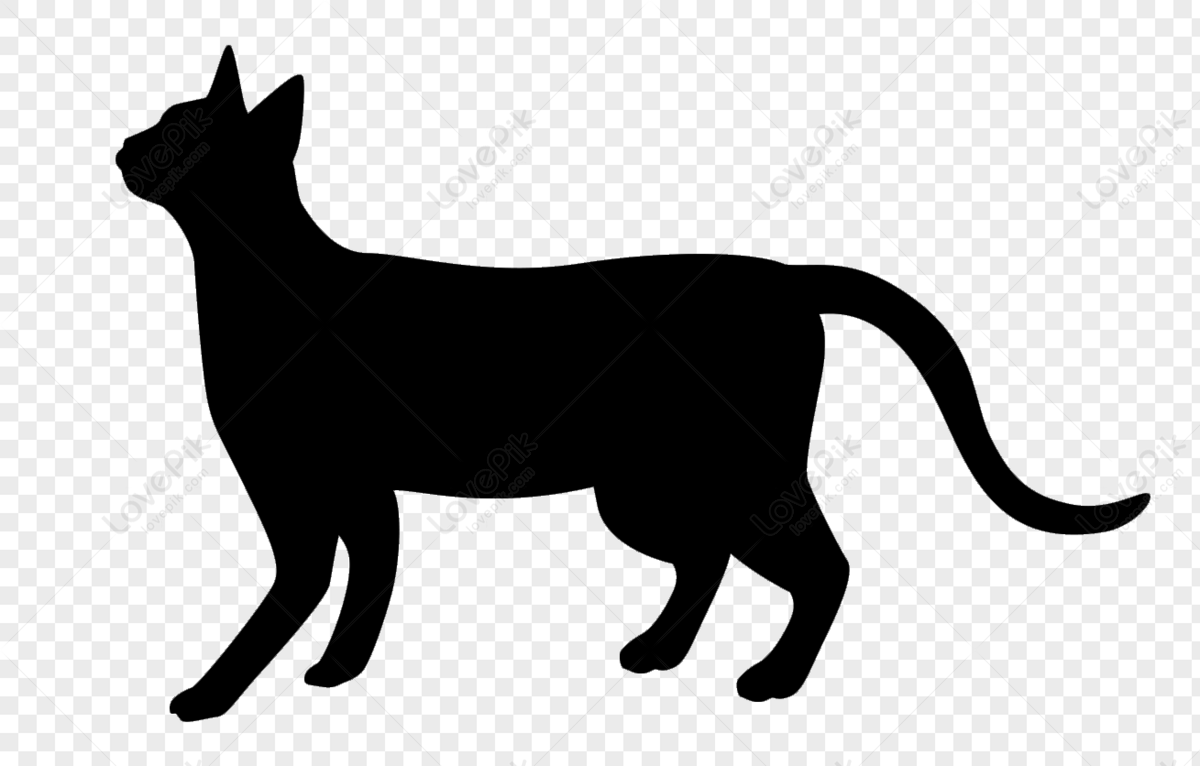 Cat silhouette, black cats, cat shape, black cat silhouette png image free download