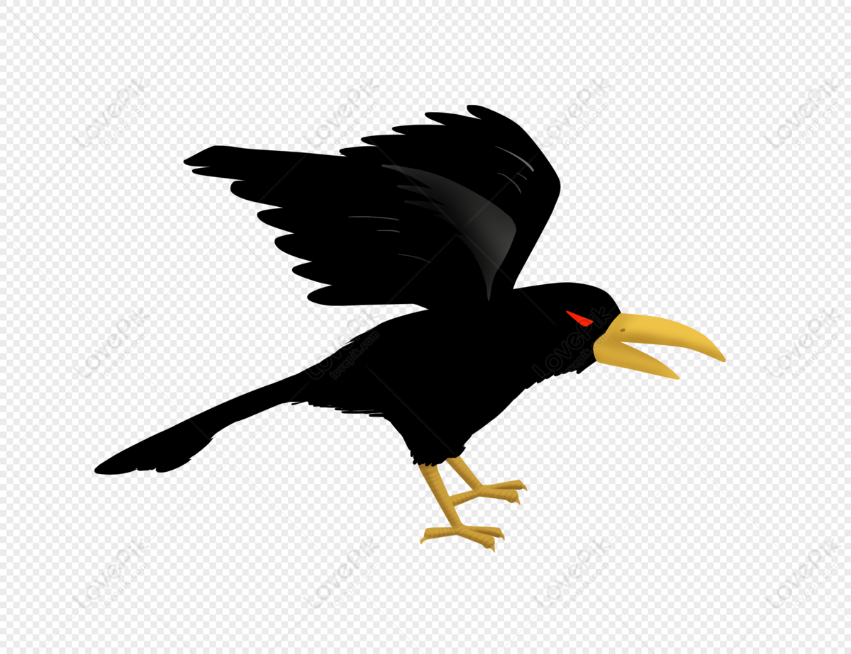 Crow girl