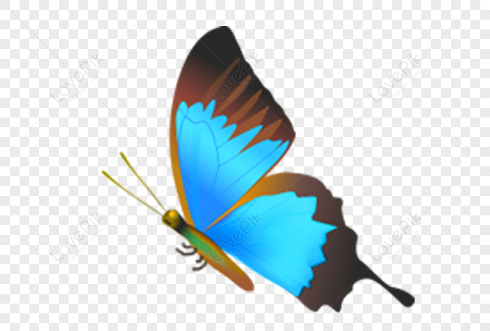 animación de mariposa voladora para powerpoint