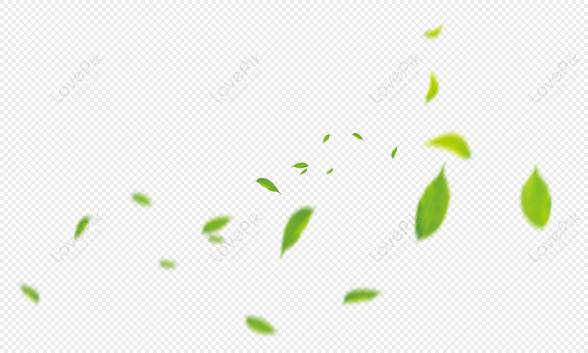 Hình ảnh Fresh Green Leaves PNG Images With Transparent Background | Free được tạo nên với độ chân thực tuyệt đối, tất cả những đường nét của lá cây và rễ cây đều được minh họa rất chi tiết. Bạn sẽ cảm nhận được sự tươi mát, sự sống động của cây lá thông qua bức hình này.