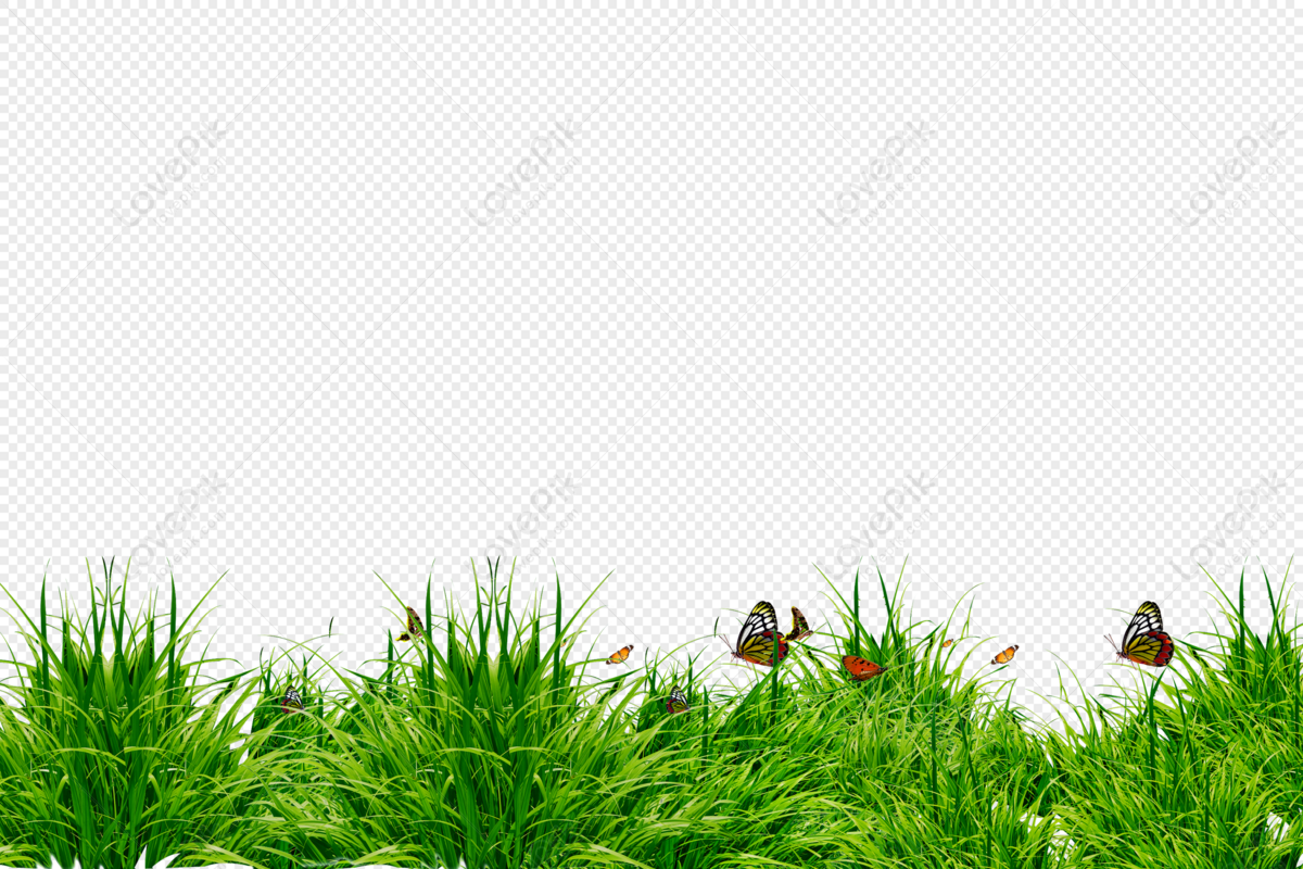 Green Grass PNG Hd Transparent Image And Clipart Image For Free Download -  Lovepik | 400395104