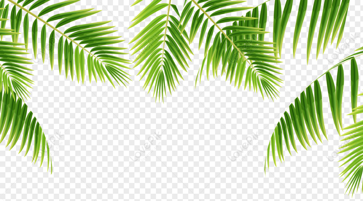 Green Leaf Border Material Plant Green Border Png Transparent Image