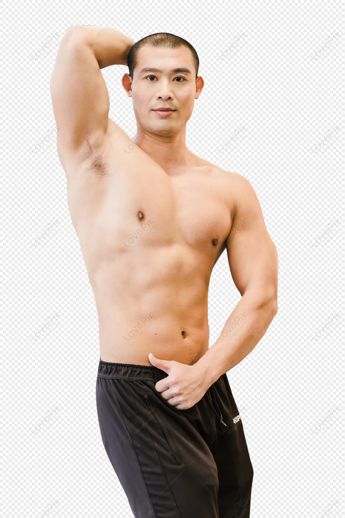 Gym Fitness Men Muscle Show PNG Transparent Image And Clipart Image For  Free Download - Lovepik | 400780697