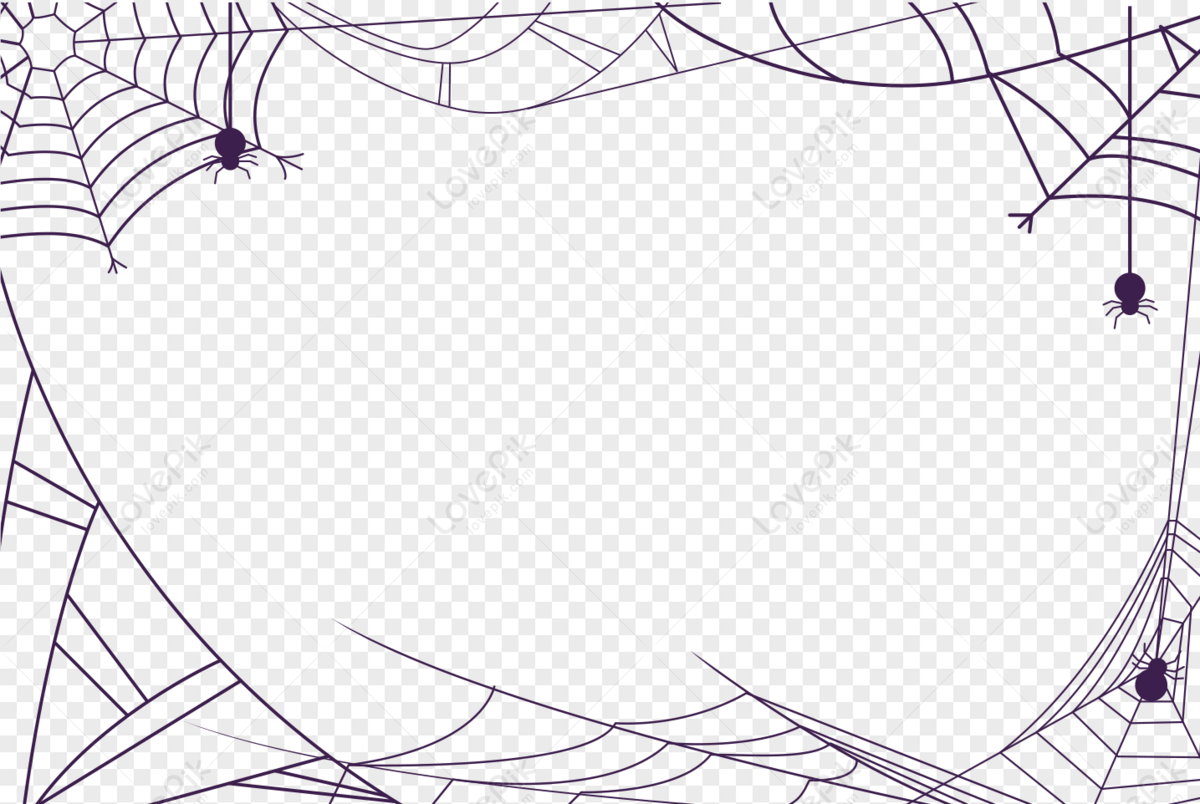 white spider web png
