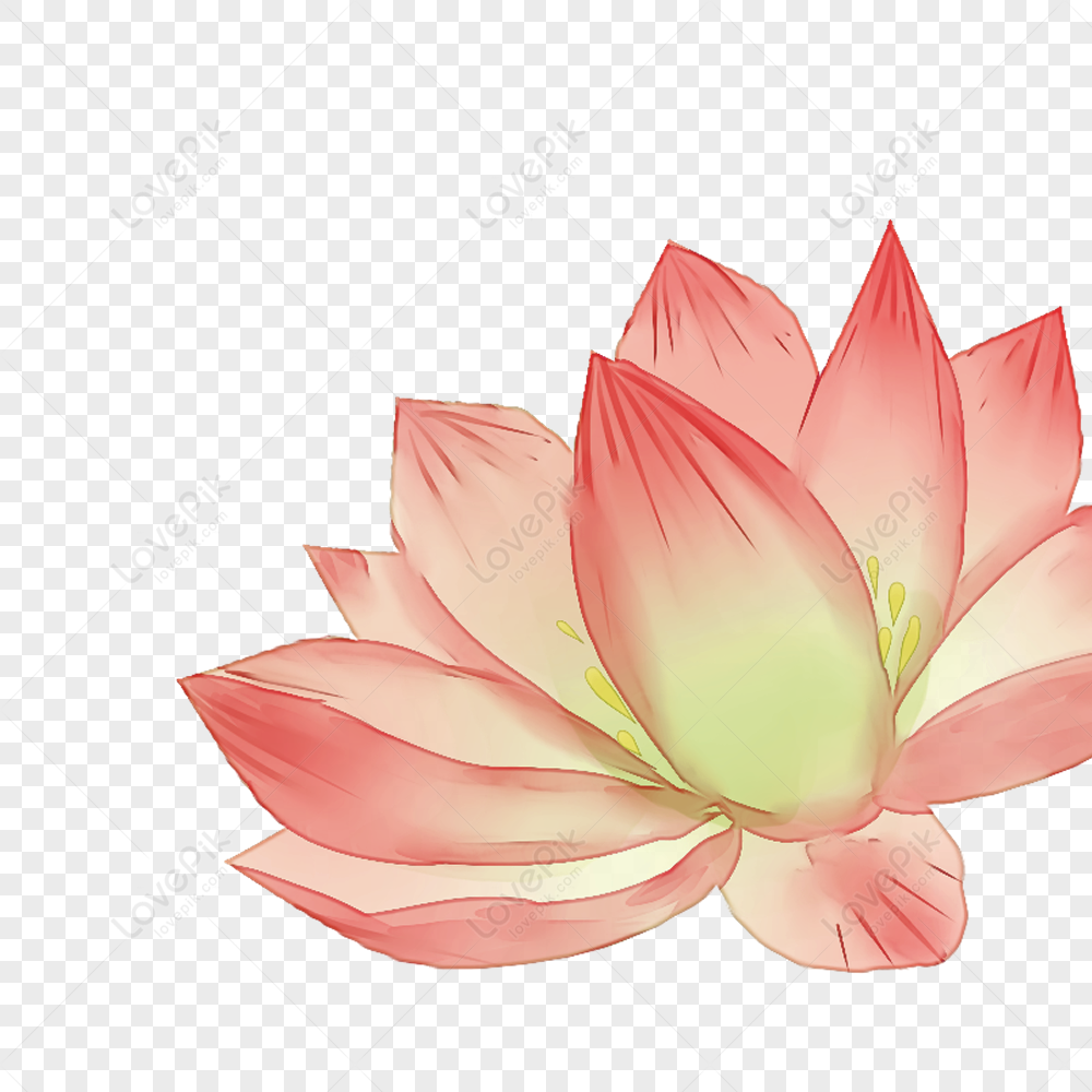 Vẽ hoa sen cách điệu đơn giản sẽ giúp bạn khám phá vẻ đẹp tinh tế của loài hoa truyền thống của Việt Nam. Với chỉ vài nét vẽ đơn giản, bạn sẽ có được một bức tranh hoa sen đẹp mắt để gợi nhớ những kỷ niệm về mùa hoa sen nở rực rỡ. Hãy xem hình để tìm hiểu thêm về cách vẽ hoa sen cách điệu đơn giản này.