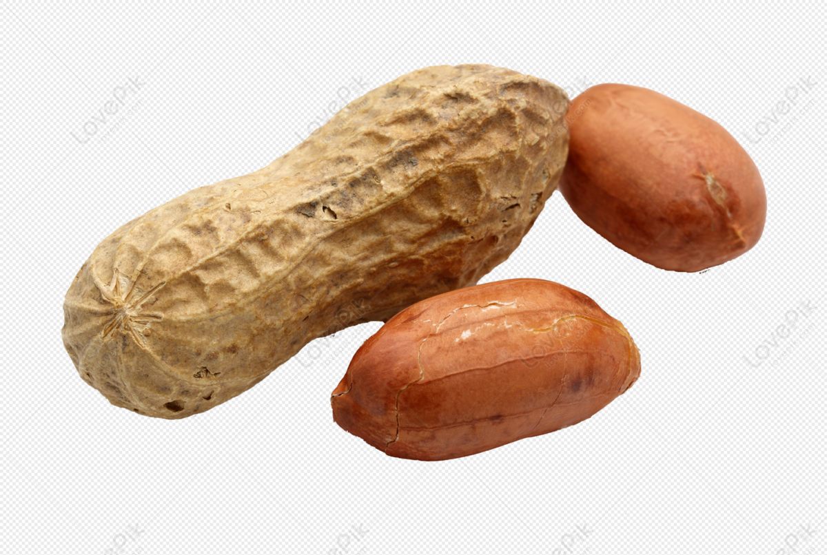 Kacang tanah