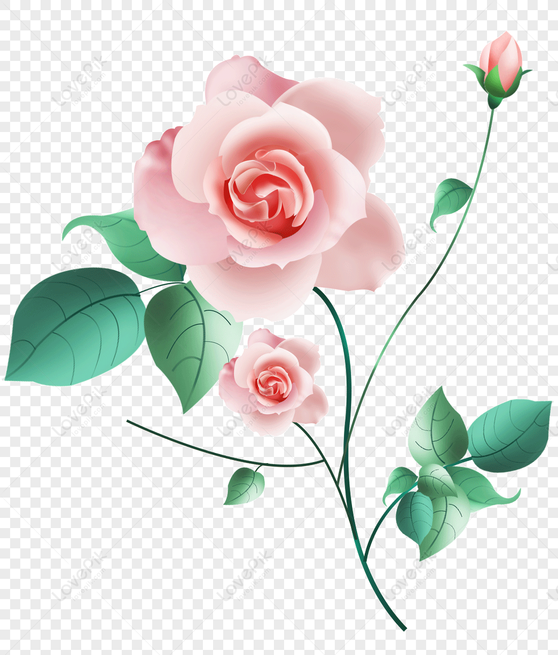 Pink Rose Flower PNG With Transparent Background Digital Download -   Canada