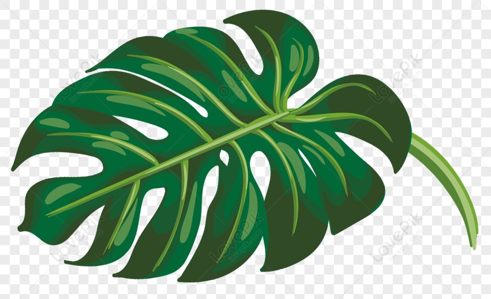 Artificial Leaves PNG Transparent Images Free Download