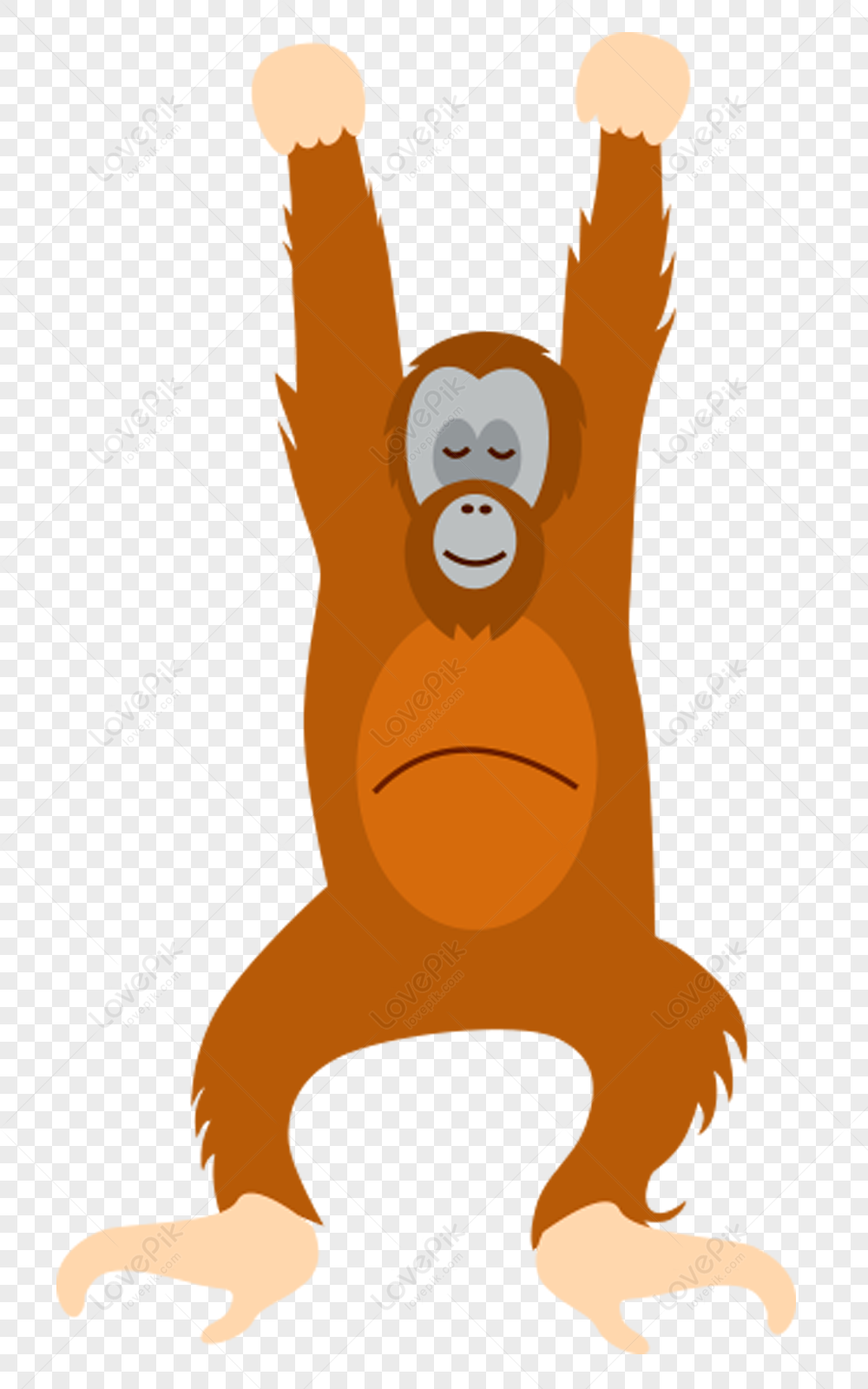 Cute Orangutan Images, HD Pictures For Free Vectors Download 
