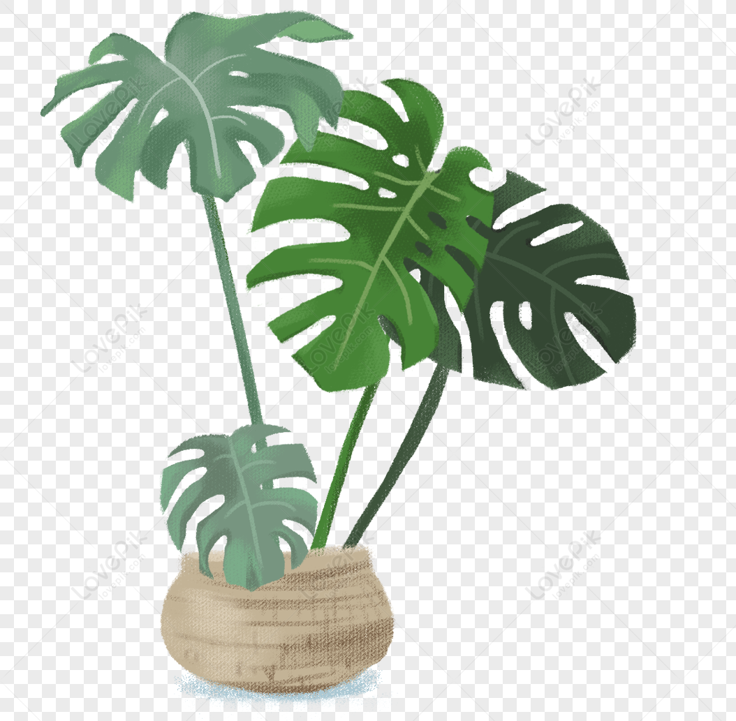 Tropical Leaves, Leaves, Small Fresh Leaves, Tropical Leaves Png 