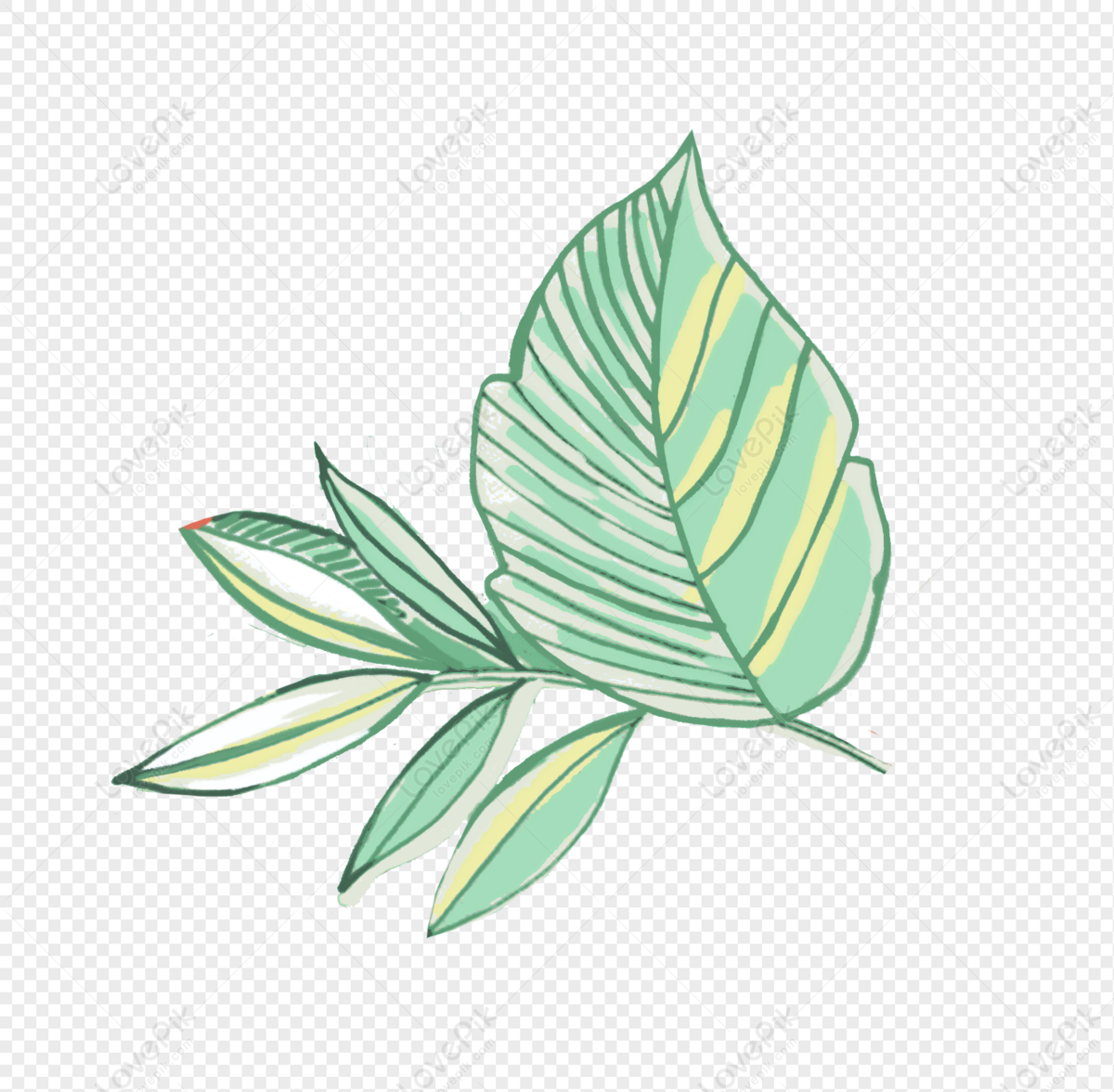 Set of tropical palm leaves sketch style Vector Image