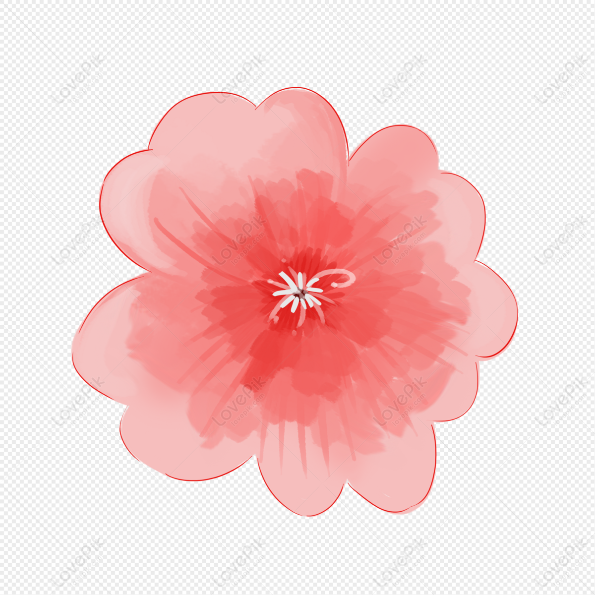 Cherry Blossoms PNG Images With Transparent Background | Free ...