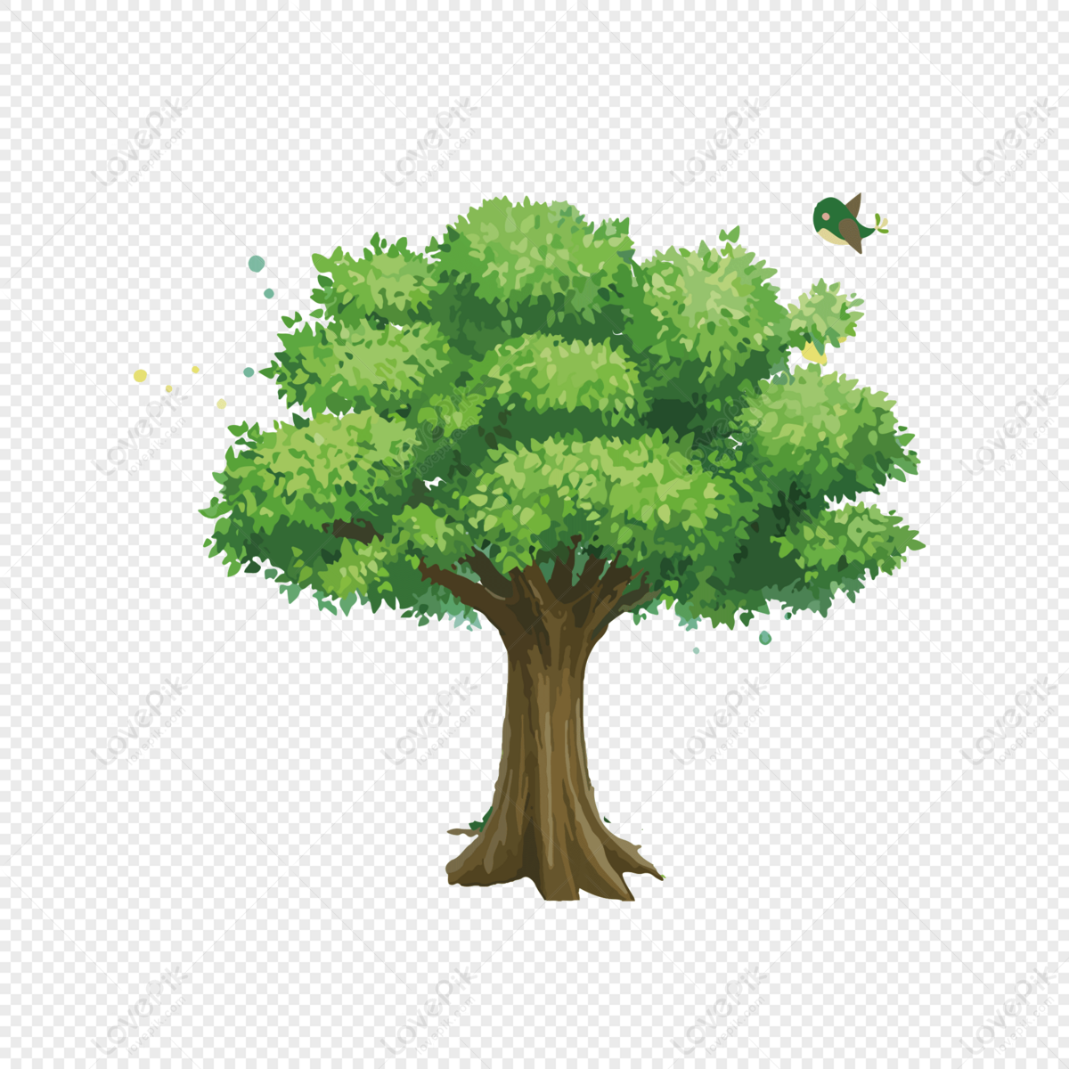 Bộ Sưu Tập hình cây Cực Chất Full 4K với hơn 999+ hình cái cây
