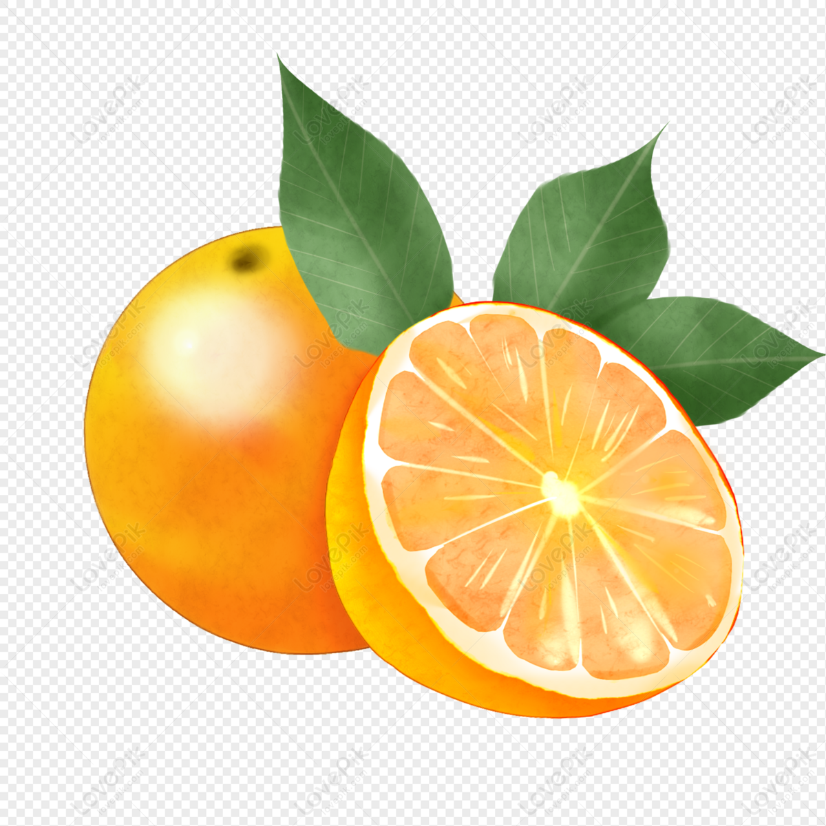Cartoon Fruit Orange Illustration PNG Free Download And Clipart Image For  Free Download - Lovepik | 401140063
