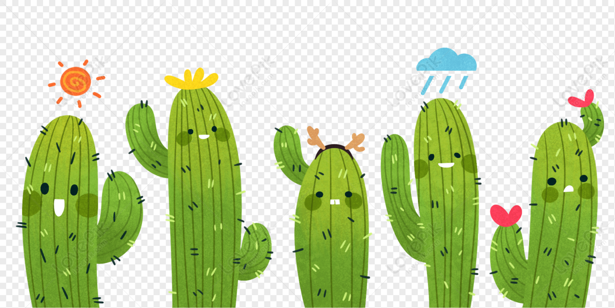 Cactaceae, Desenho, Planta png transparente grátis