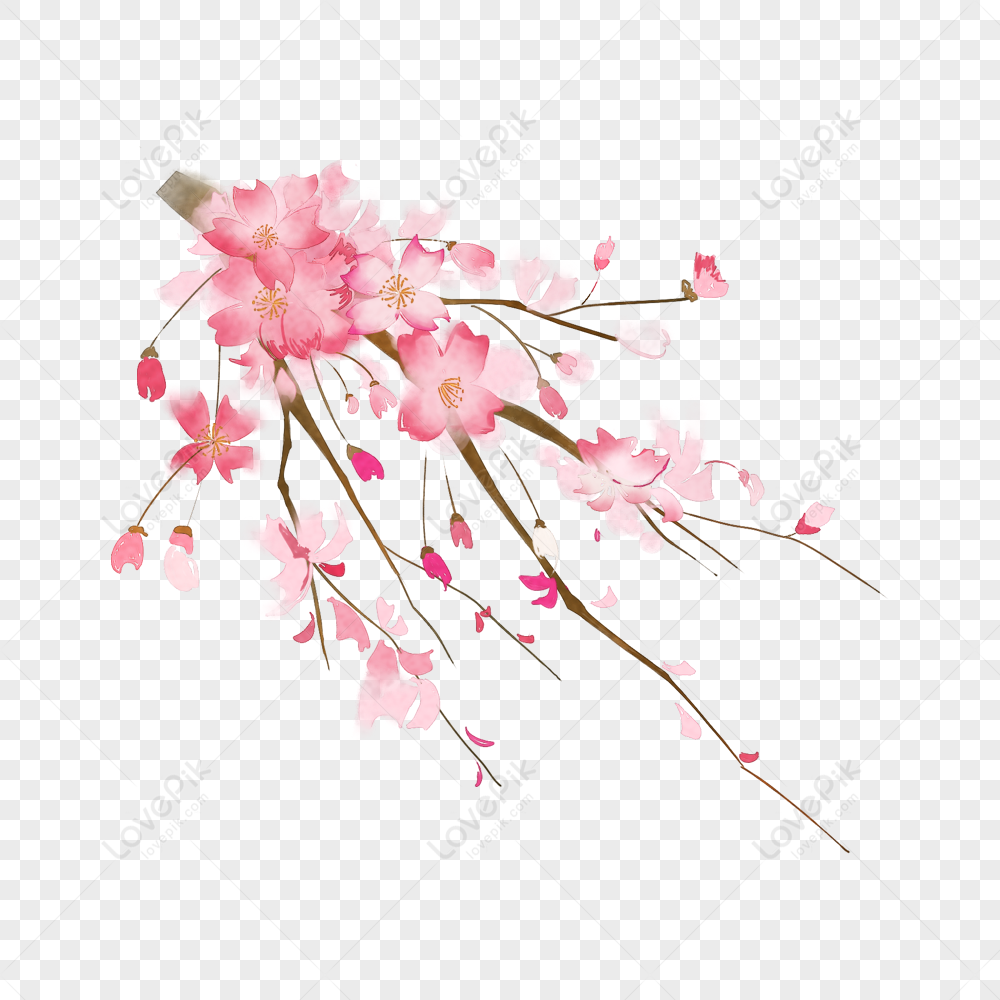 Cành hoa anh đào PNG: Hoa anh đào là một loài hoa được yêu thích vì sắc đỏ tươi sáng và ý nghĩa tinh thần mà nó mang lại. Nếu bạn muốn trang trí ảnh của mình với những cành hoa anh đào PNG sang trọng và đẹp mắt, hãy đến và xem những công trình của chúng tôi. Chúng tôi đảm bảo rằng bạn sẽ tìm thấy những cành hoa anh đào PNG hoàn hảo cho bất kỳ ý tưởng trang trí nào của bạn.
