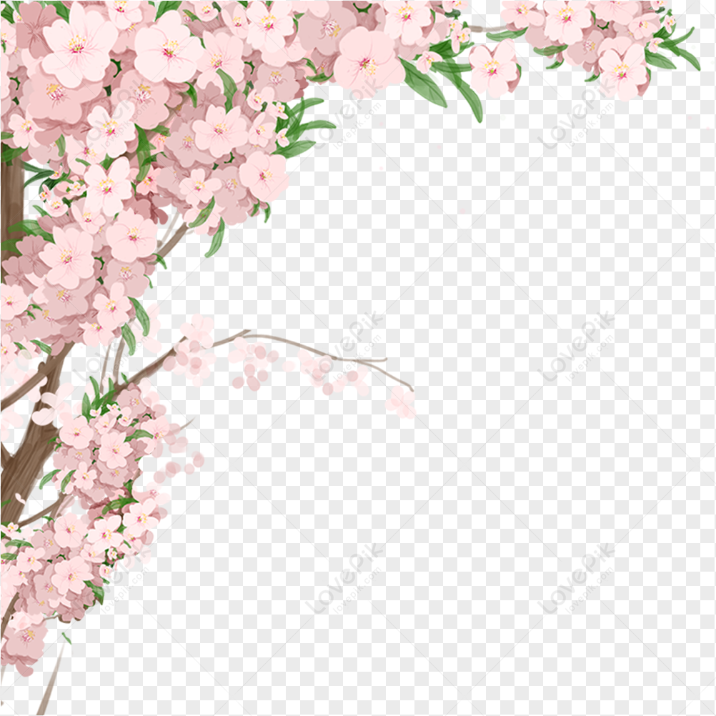 Cherry Blossom Branch PNG Image Free Download And Clipart Image For Free  Download - Lovepik | 401091931