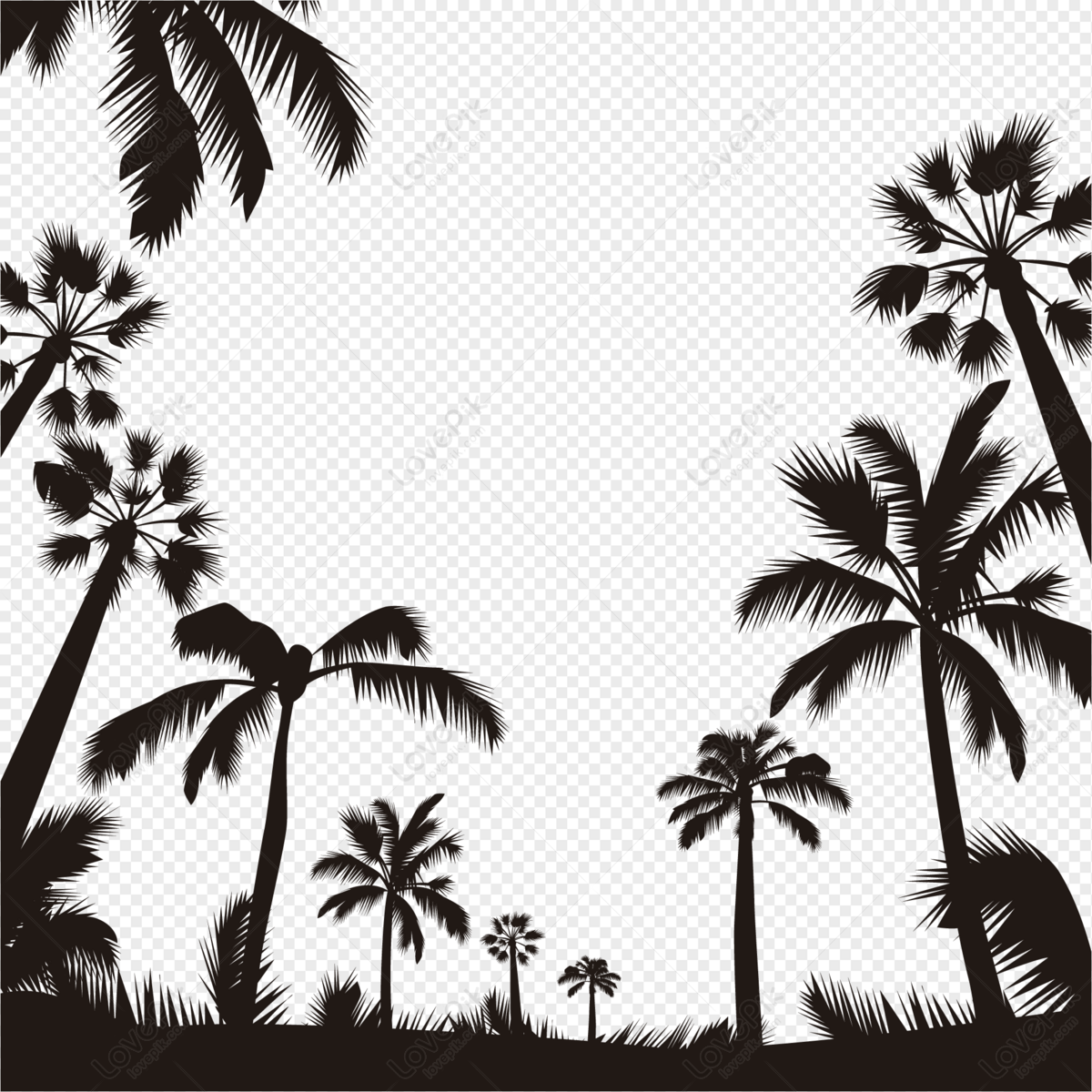 Coconut tree silhouette border, tree, silhouette border, silhouette png hd transparent image
