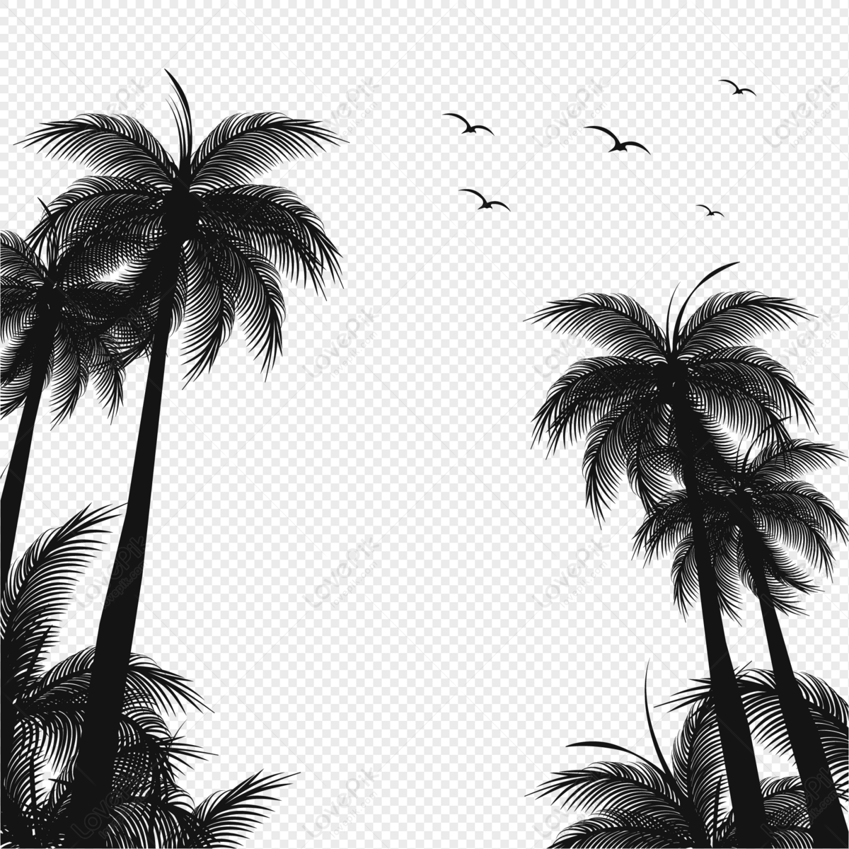 Coconut tree silhouette border, tree, silhouette border, birds free png