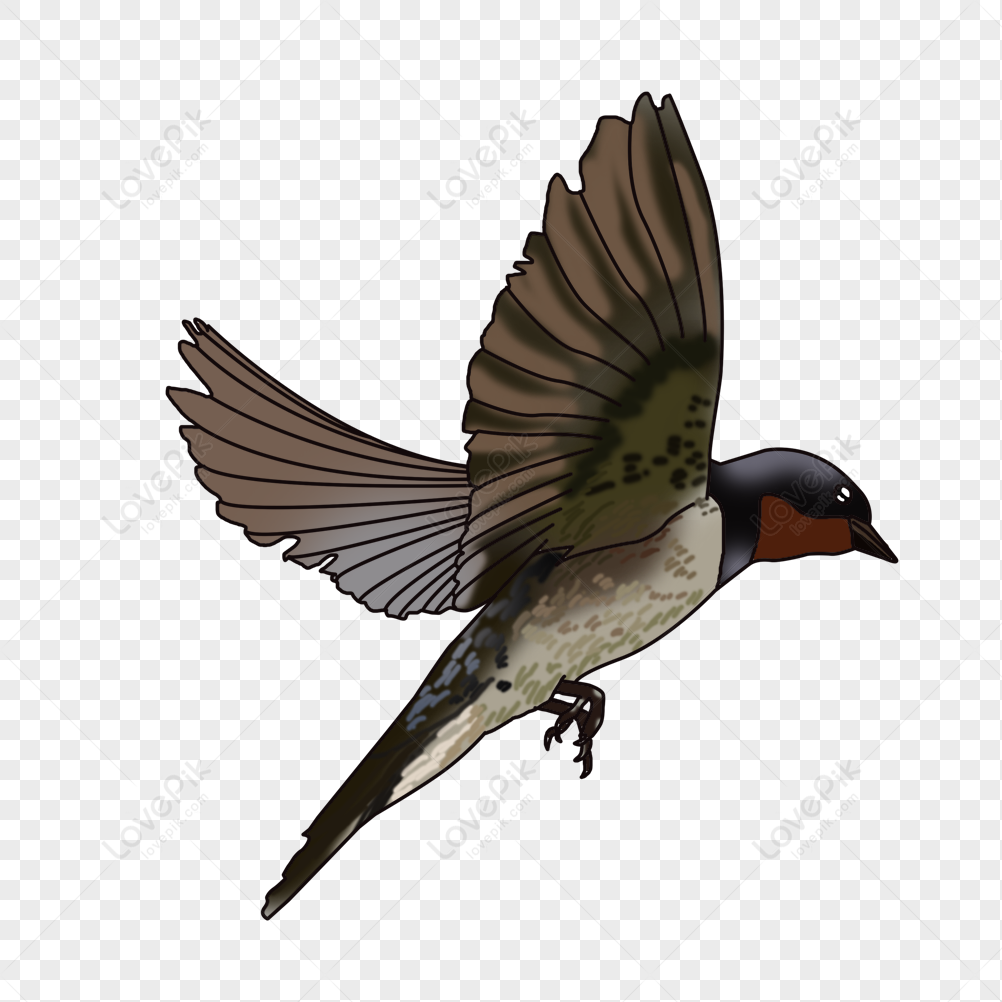 Flying Birds PNG Picture And Clipart Image For Free Download ...