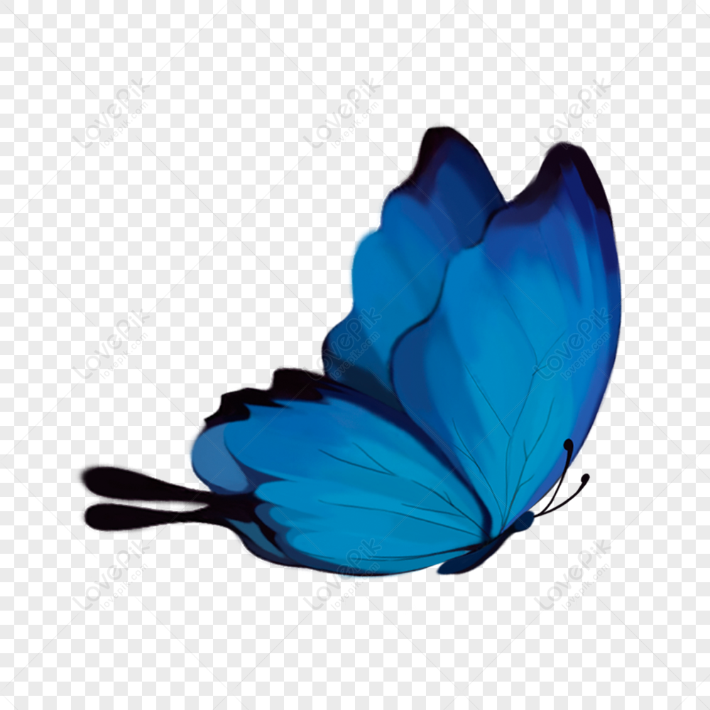 Flying Butterfly png download - 680*516 - Free Transparent