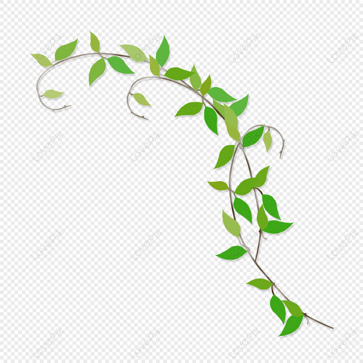 green vines png