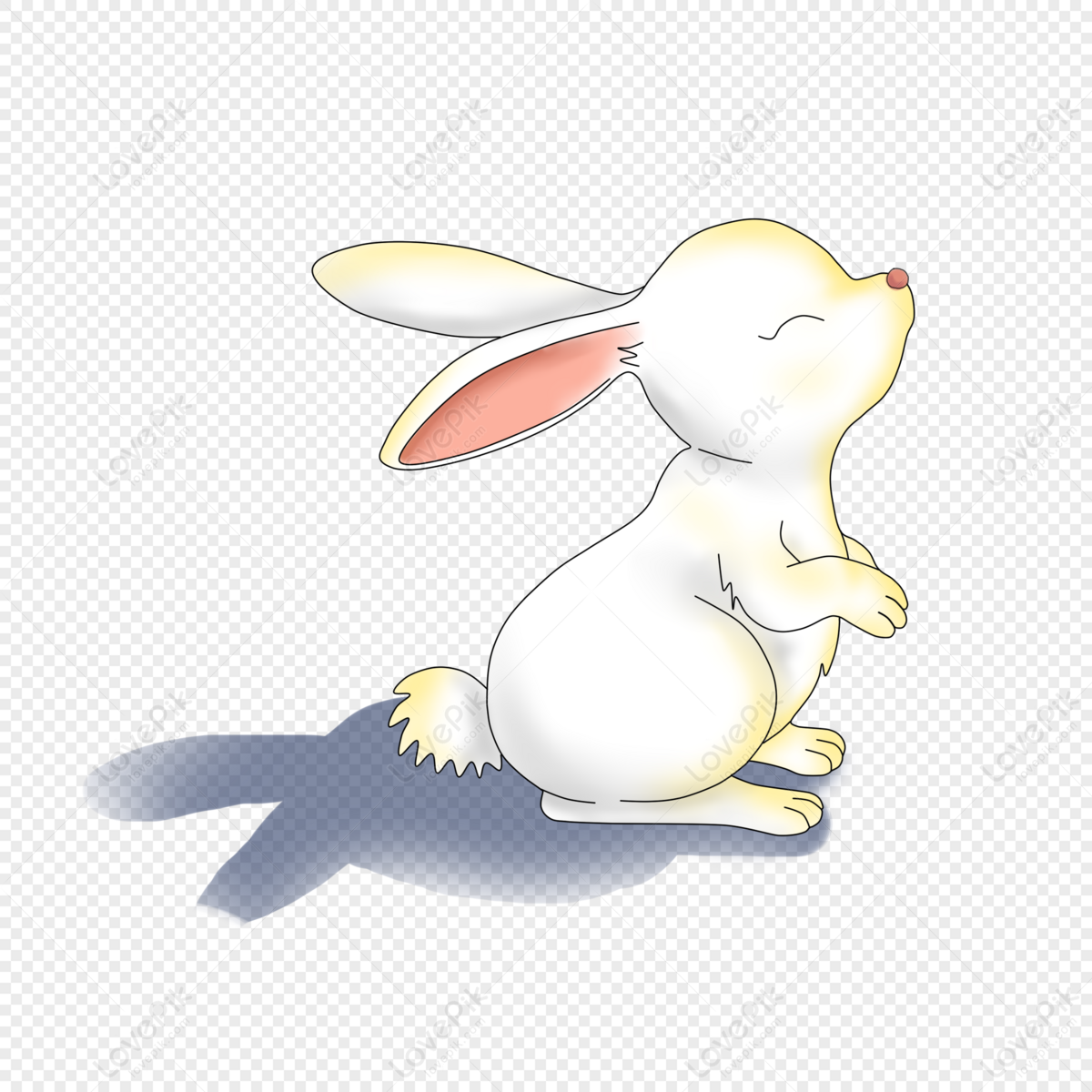Hình ảnh con thỏ trong đời sống văn hóa , tín ngưỡng con người - Thỏ cảnh  Hà Nội | Cute bunny pictures, Cute creatures, Funny animals