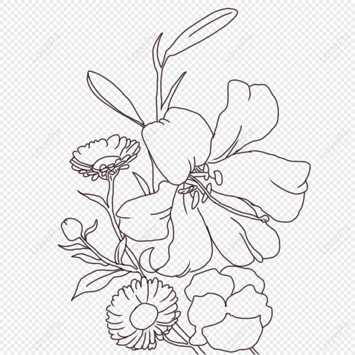 Line Drawing Flowers Free PNG And Clipart Image For Free Download ...