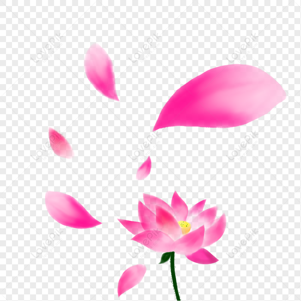 Lotus Petals PNG: Hình ảnh cánh sen mỏng manh và tinh tế đem đến cảm giác sảng khoái, thanh tịnh và tươi mới cho người xem. Với kích thước đa dạng và độ bão hòa màu sắc, hình ảnh cánh sen sẽ giúp bạn tạo ra một bầu không khí ngập tràn hoa lá và cuốn hút khách hàng đến với sản phẩm của bạn.
