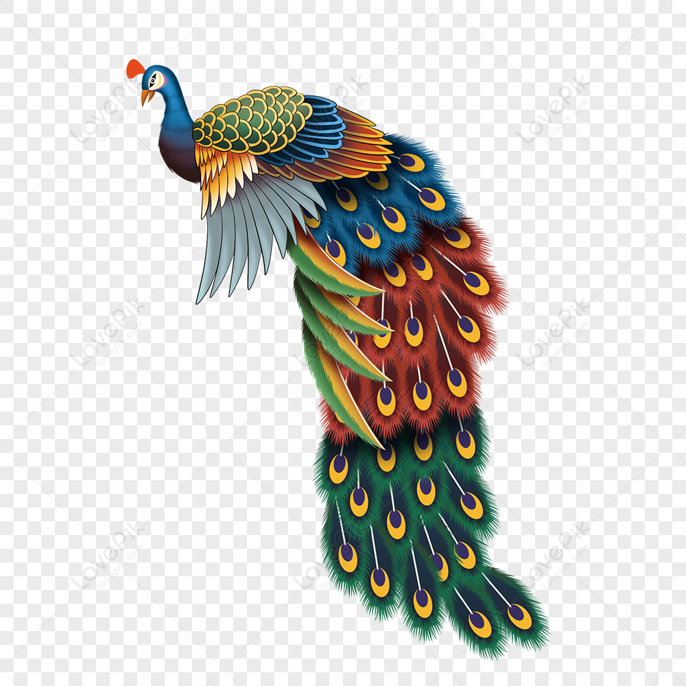 Cartoon Peacock PNG Images With Transparent Background | Free Download On  Lovepik