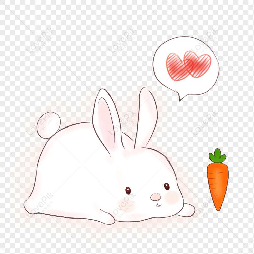 Những lưu ý gì khi vẽ con thỏ ôm củ cà rốt?

