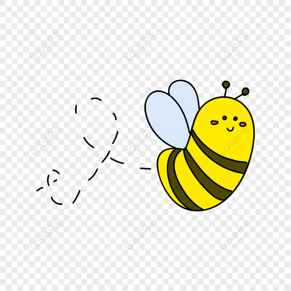 honey bee bees drawing pencil cartoon png download - 800*703 - Free  Transparent Watercolor png Download. - CleanPNG / KissPNG
