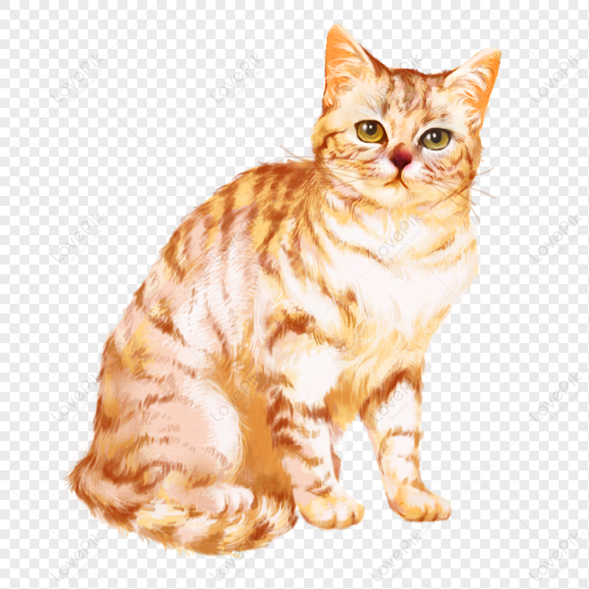 Hình ảnh Mèo Vàng Mèo Cam Mèo Dễ Thương Yếu Tố Thú Cưng PNG Miễn ...