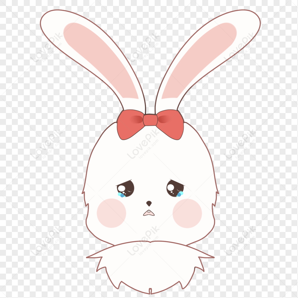 Cute Rabbit Cartoon Image PNG Image And Clipart Image For Free Download -  Lovepik | 401213728