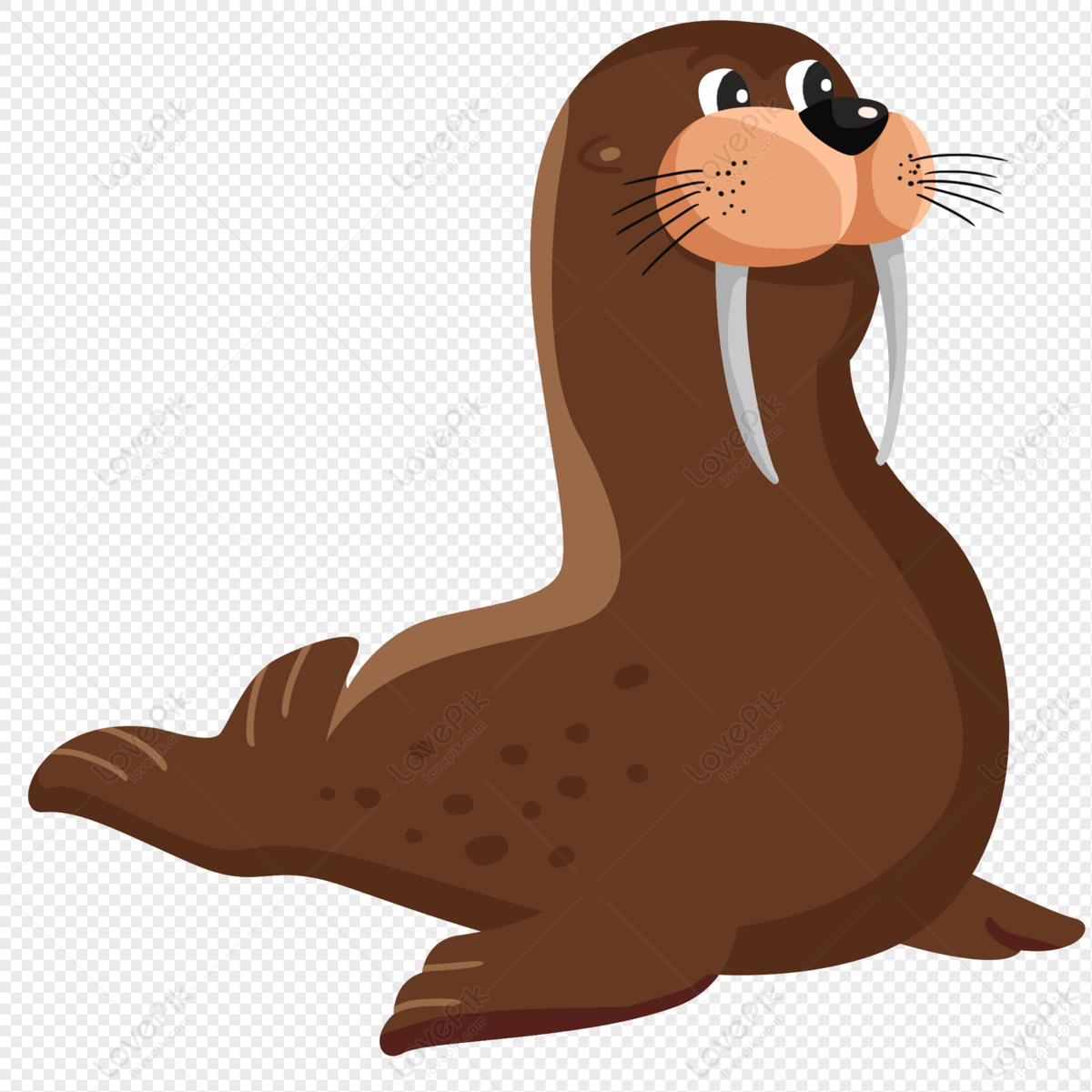Hand Drawn Cartoon Sea Lion Seal PNG Hd Transparent Image And Clipart Image  For Free Download - Lovepik | 401280164