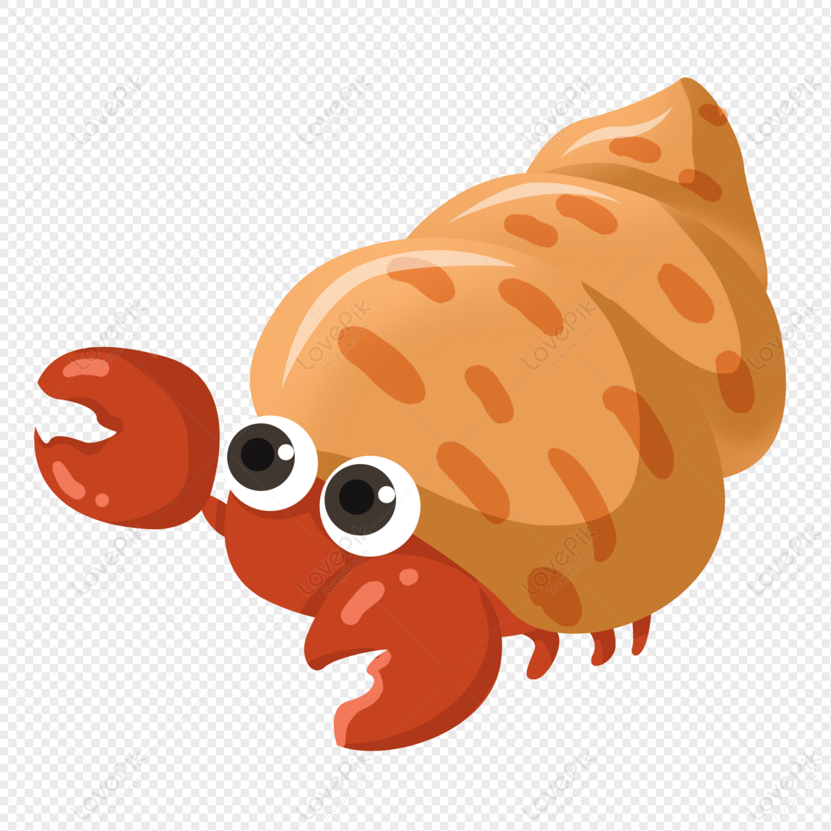 Hand Drawn Cute Hermit Crab Free PNG And Clipart Image For Free Download -  Lovepik | 401254059