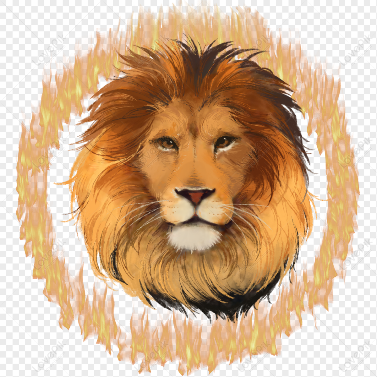 Lion Fire Circle Animal Ferocious Beast Circus Hand Drawn Elemen PNG Hd  Transparent Image And Clipart Image For Free Download - Lovepik | 401288174