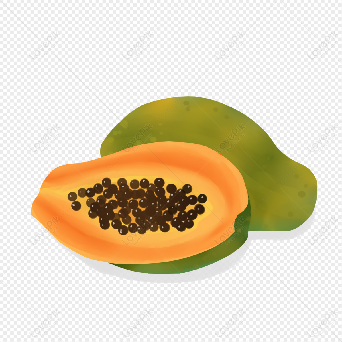 Hand drawing illustration of papaya. Fresh fruit sketch background. Stock  Vector | Adobe Stock