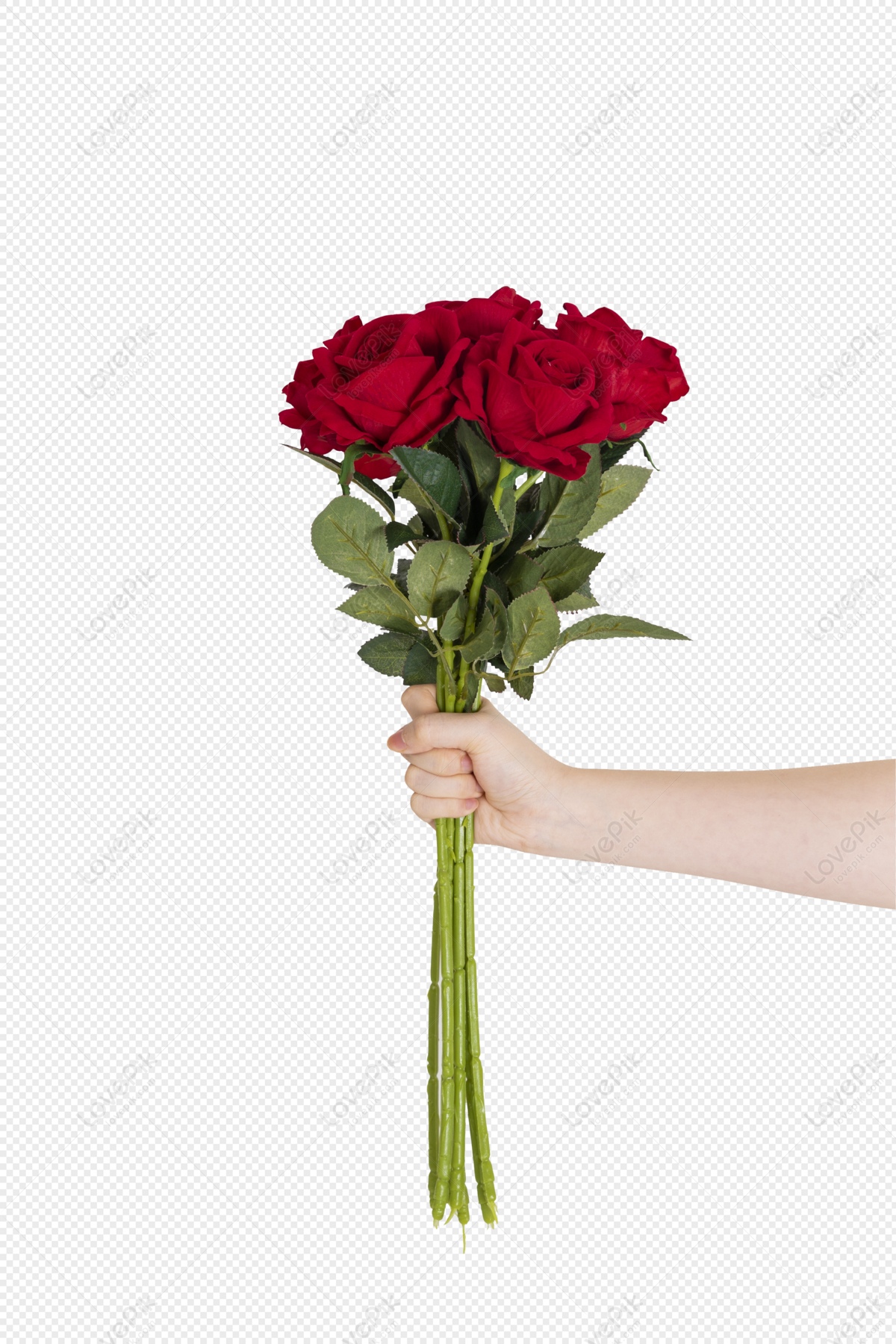 rose on transparent background for Valentine's Day 18871786 PNG