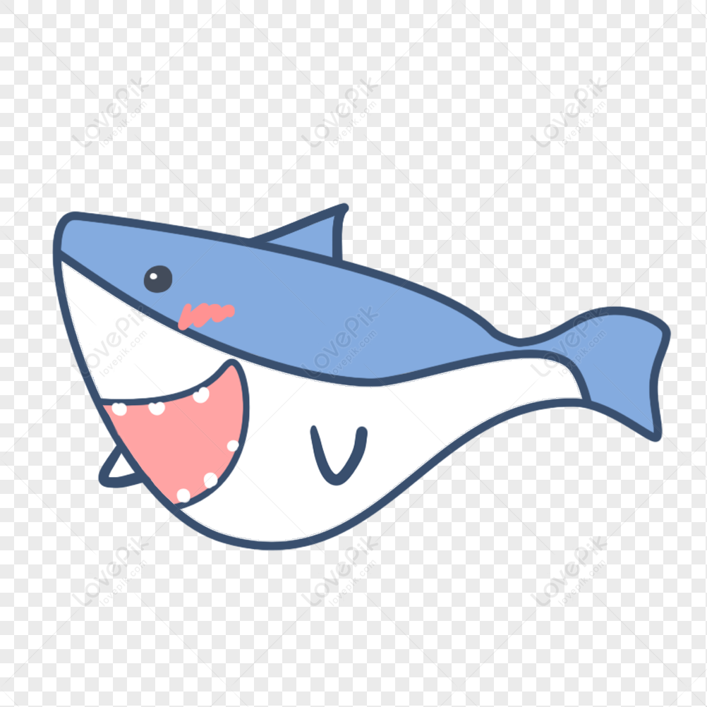 Cartoon Shark PNG Image And Clipart Image For Free Download - Lovepik |  401310238