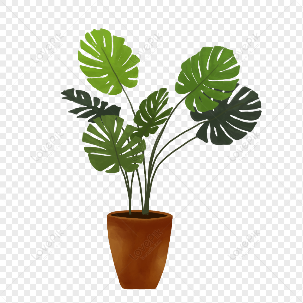 Home Decoration Green Plant Pot Free PNG And Clipart Image For ...