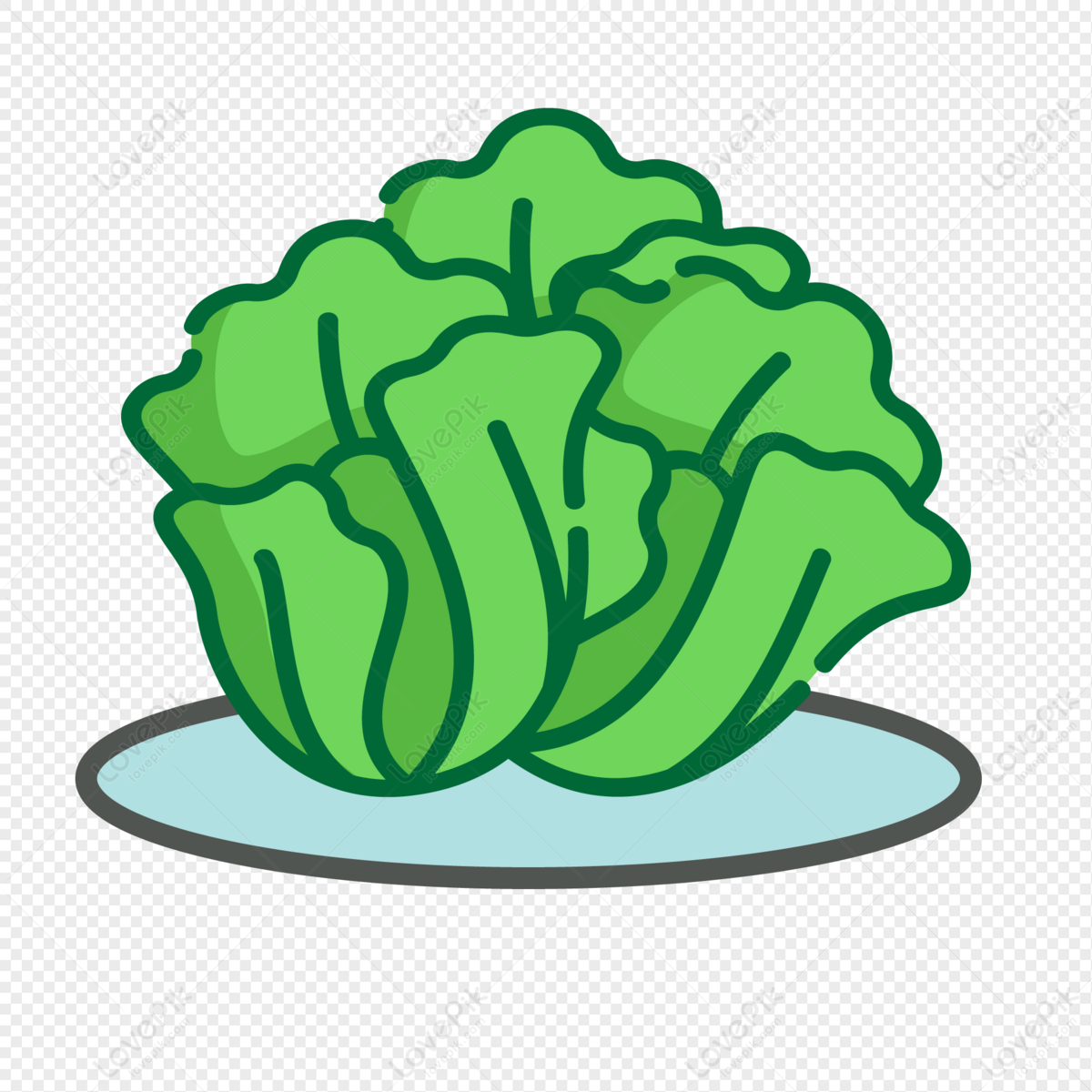 lettuce vector png